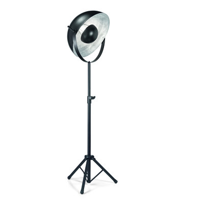Lowry 80.71 " Tripod Floor Lamp