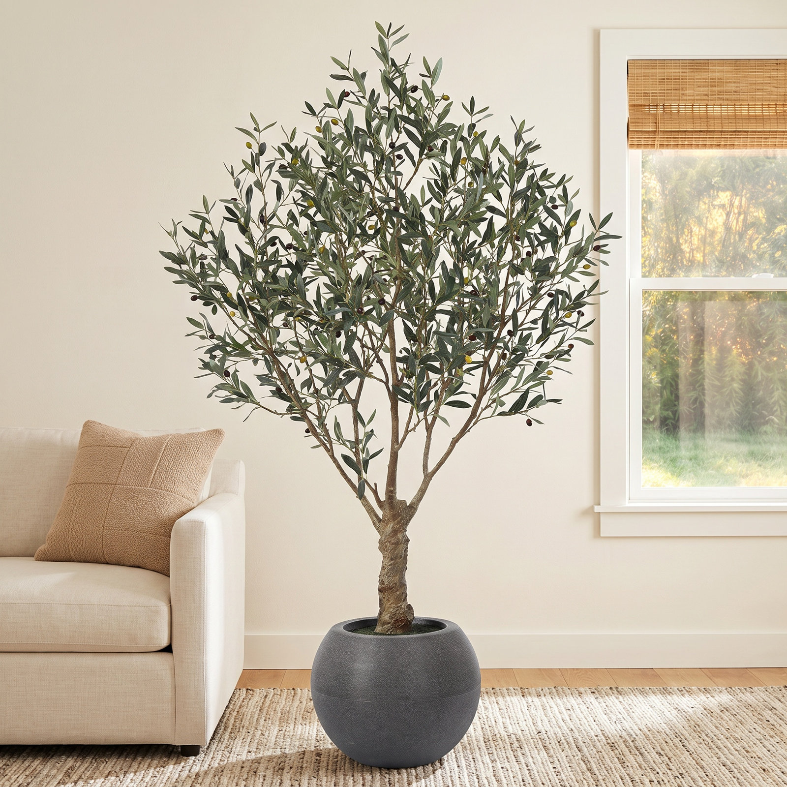Akita 84" Olive Tree in Planter