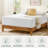 14" Medium Memory Foam Mattress - Sleep by Wayfair™-92128022