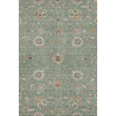 Premium Machine Washable Krause AMF1137 Global Rug