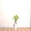 Arrangement boule de neige