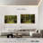 Sireci Spanish Moss-108088998