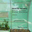 Velez Greenhouse-26700088
