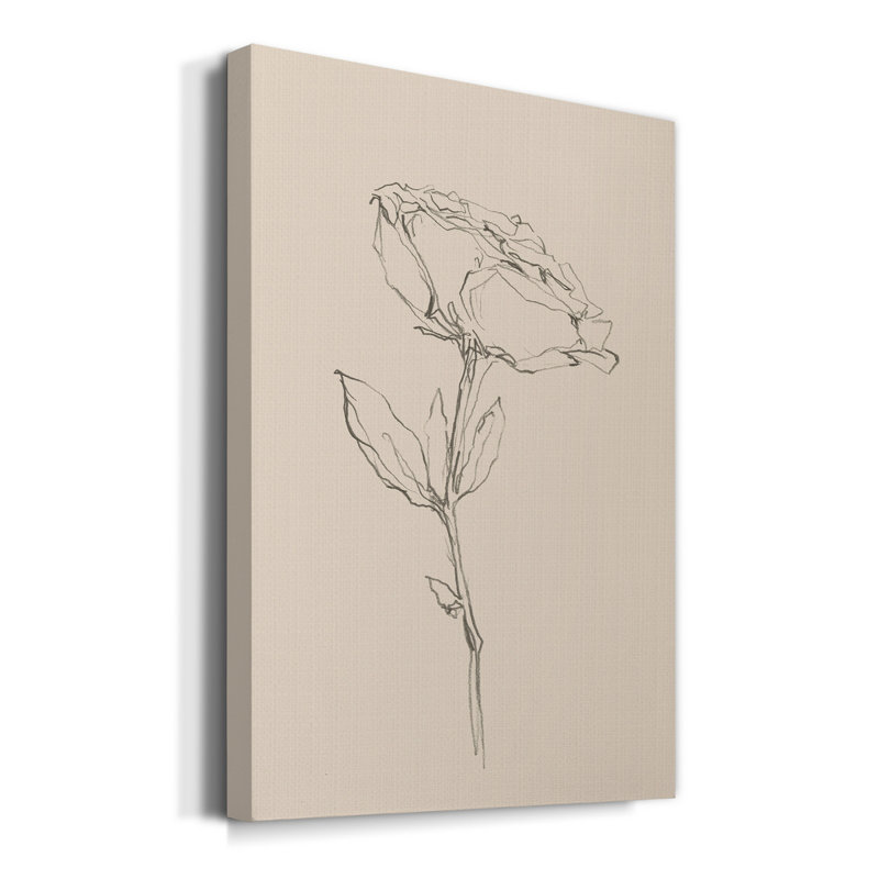Floral Contour Study IV - Reproduction de dessin sur toile tendue, H 60 po x l 40 po x P 1 po