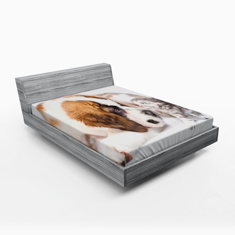 Microfiber Fitted Sheet, Queen Fitted Sheet