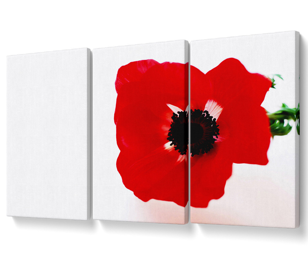 Ebern Designs Red Poppy Centre - 3 Piece Wrapped Canvas Graphic Art ...