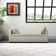 Aristides Modern 59.4" Wide Storage Bench with Two Pillows