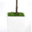 Olive artificielle 5 pi avec pot et mousse, plantes artificielles pour la décoration de bureau personnel-203492587