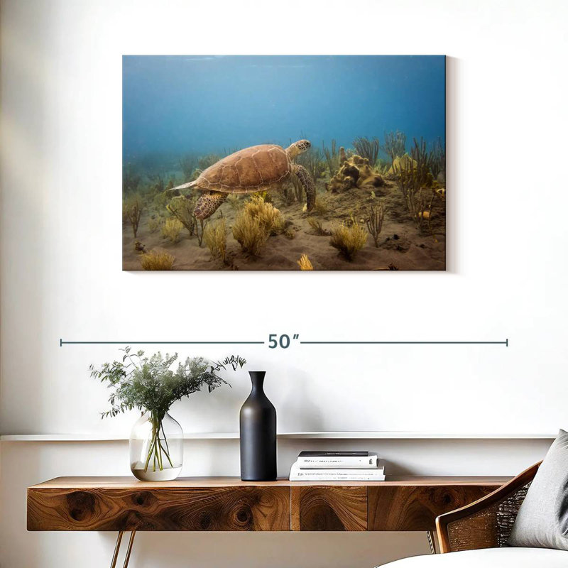 Brampt Turtle Swimming Underwater, 24" H x 36" W