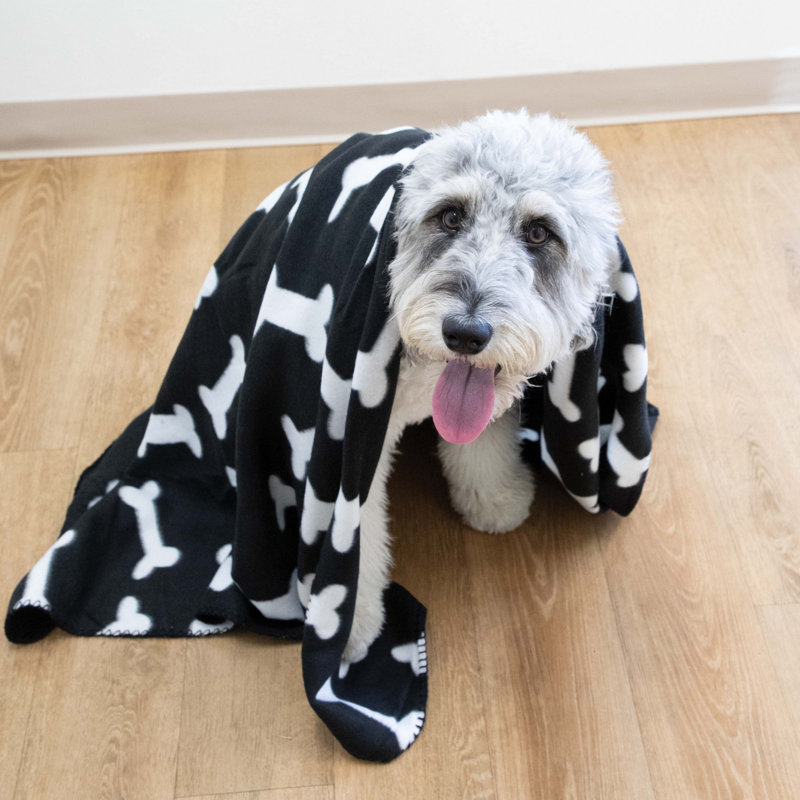 Soft Polar Fleece Pet Blanket Pack - 24x28