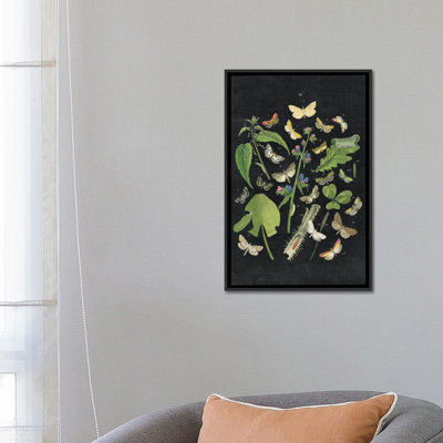 « papillon bouquet iii », impression sur toile tendue