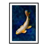 Butterfly Koi - Picture Frame Photograph on Paper 
