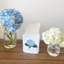 Tissue Box Cover