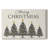 Silver Serenade-Premium Gallery Wrapped Canvas-1247472644