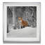 « snowy sentinelle », reproduction de photo-29162322-40497082