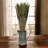 Flournoy Preserved Oat Grass Stem Bundle-474869458