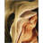 Prismatic Performance Hand Tufted Abstract Rug-98049507