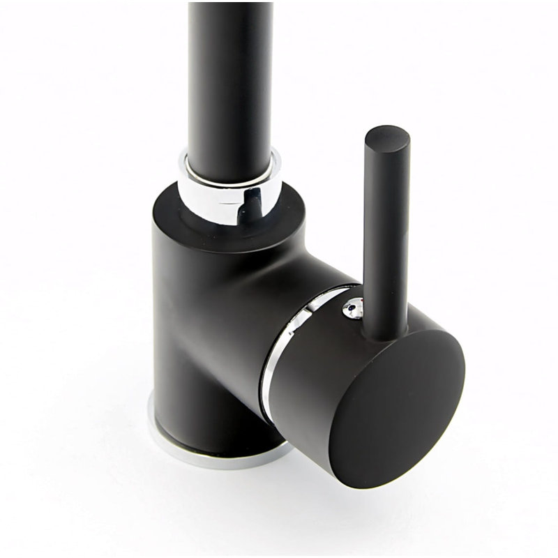 Belfry Kitchen Tailings Kitchen Faucet, Black