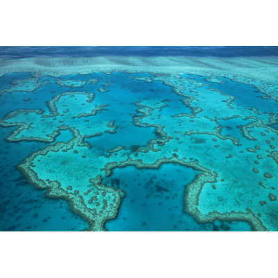 Great Barrier Reef - Wrapped Canvas Print