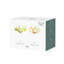 Rio - Champagne Coupes-112170930