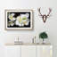 White Jasmine Flowers - Framed Print-55612724-55612728