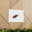 Wall Art on Canvas-444003210