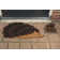 Coir Doormat Hedgehog