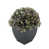 Mauve antique est en rupture de stock