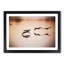 A Flock of Pelicans - Framed Print-55457280-55457288