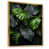 Gold Floater Framed selected