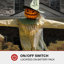 Cornfield and Pumpkin Patch Haunted Hill Farm Grand accessoire d'Halloween avec épouvantail et mouvement d'Halloween activé par le mouvement