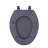Fantasia Elongated Toilet Seat and Lid-10197924