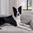 pet sofa bed with backrest and armrests-95932919-67412051