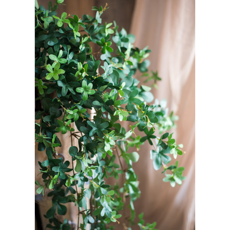 Branche en feuille de vigne artificielle schefflera