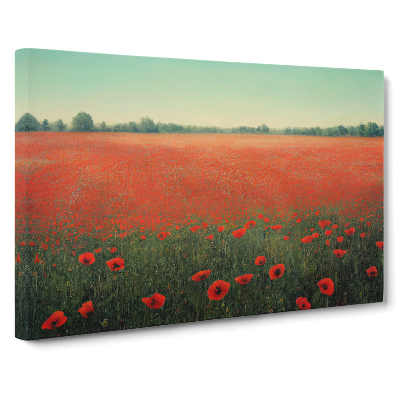 Dreamy Poppies Flowers - Wrapped Canvas Print, 35cm H x 50cm W x 3cm D