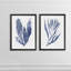"Seaweed Under Water III" - ensemble de 2 reproductions d'art-1089807162-1161576876-1089807161