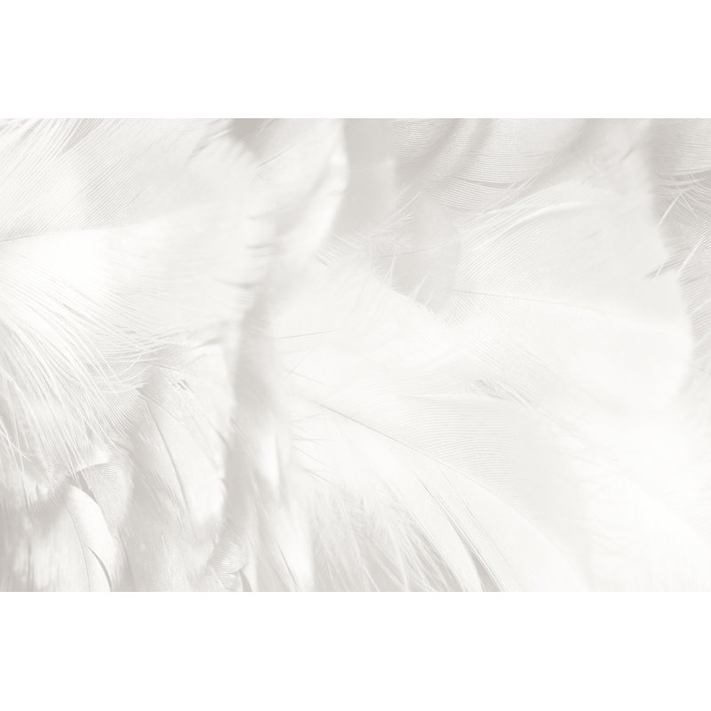 Beautiful White Feather by Nadtytok - Wrapped Canvas Print, 81cm H x 122cm W x 3.8cm D