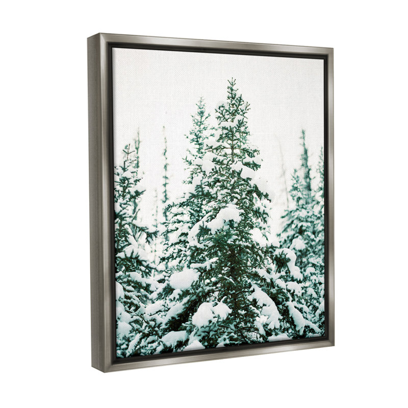 «Woodland Fir with Snow Floater Frame» par Justine Milton sur, H 21 po x l 17 po, Cadre flottant gris lustré