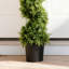 Ensemble de 2 plantes artificielles en pot 6 pi