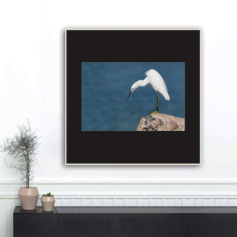 H07 A Bird debout, reproduction sur toile, Blanc, H 24 po x l 24 po