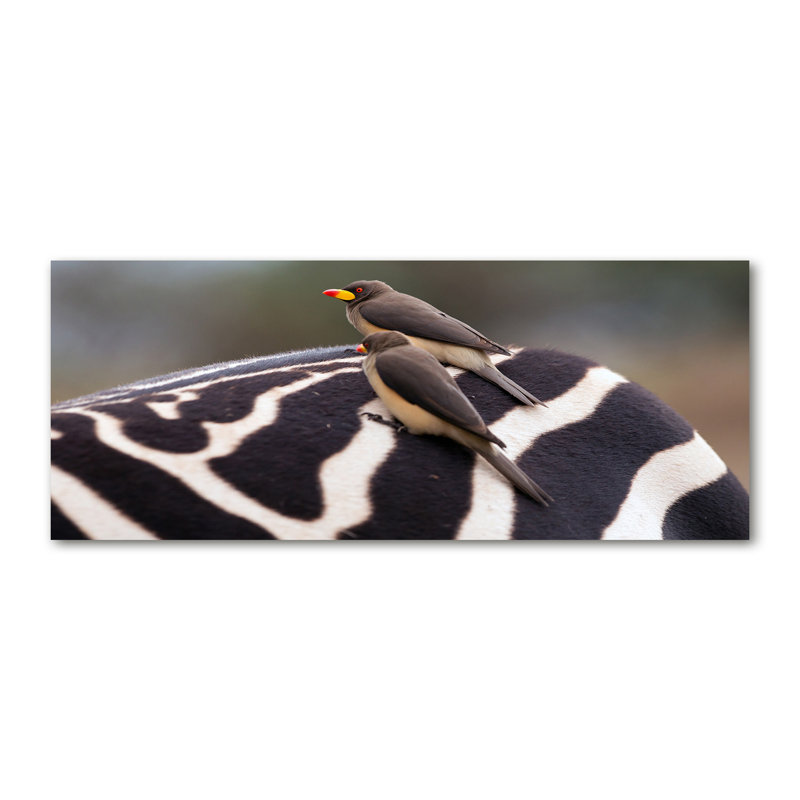 Birds and zebra 1 Piece Wall Art on Canvas