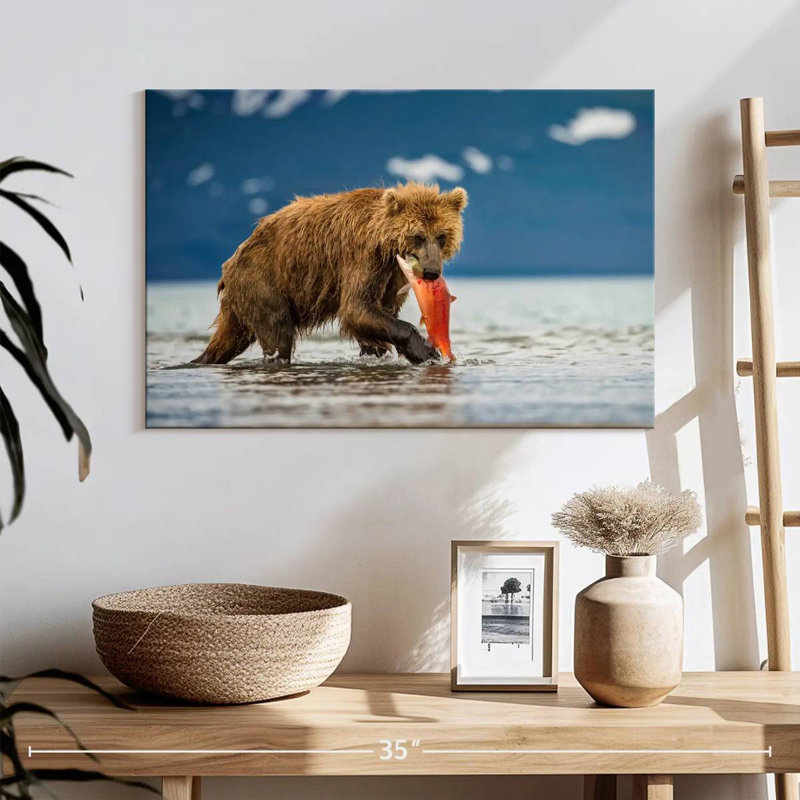 Grizzly de Brampt mangeant du saumon, H 16 po x l 24 po