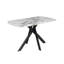 Dining Table with Stainless Steel Base