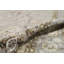 Oriental Area Rug