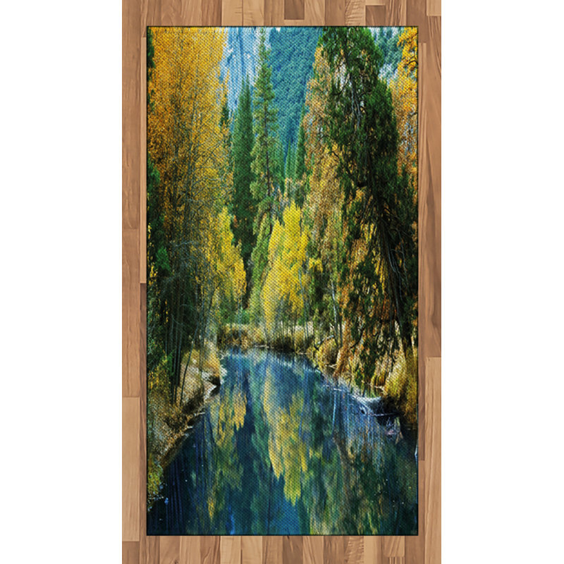 Nature High Density Long Fiber Poly Threads Decorative Area Rug Carpet, Rectangle 2'7" x 5'