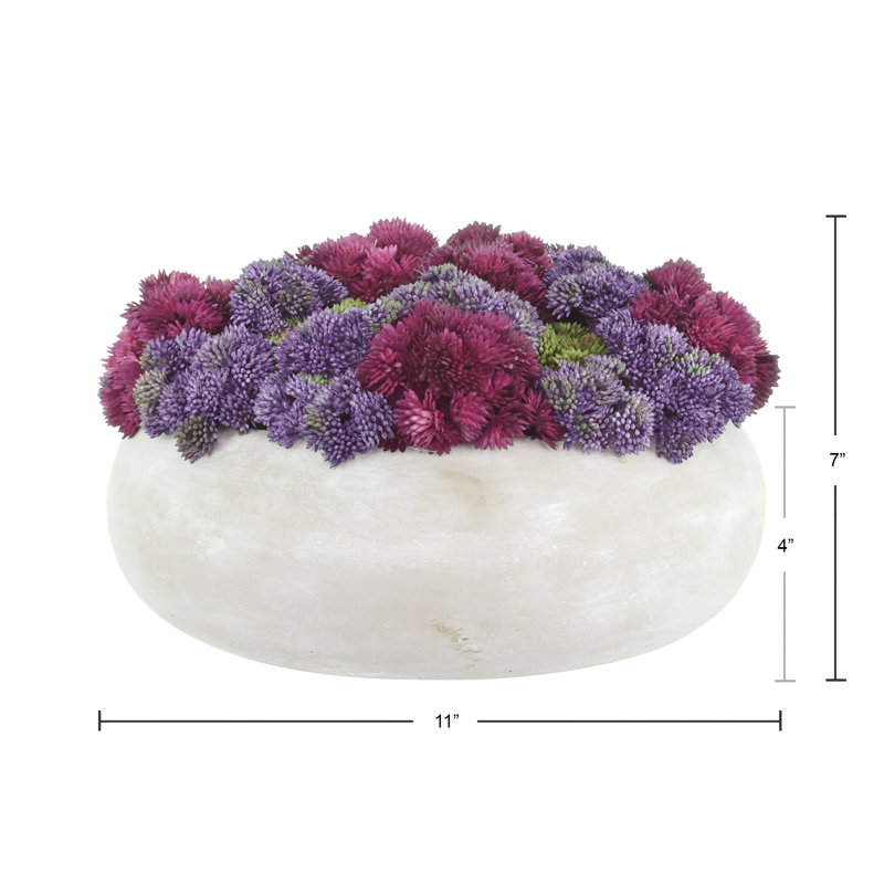 Sedum Arranged in a Stone Planter, Green/Purple/Burgundy, 7" H x 11" W x 11" D