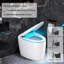 Toilette intelligente allongée en forme d'œuf avec siège de bidet, ouverture et chasse automatique, siège chauffant ajusté, eau chaude et sécheuse, veilleuse, boutons latéraux-122285869