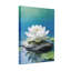 Bain et lessive lotus blanc sur pierre dans l'eau-1311198992