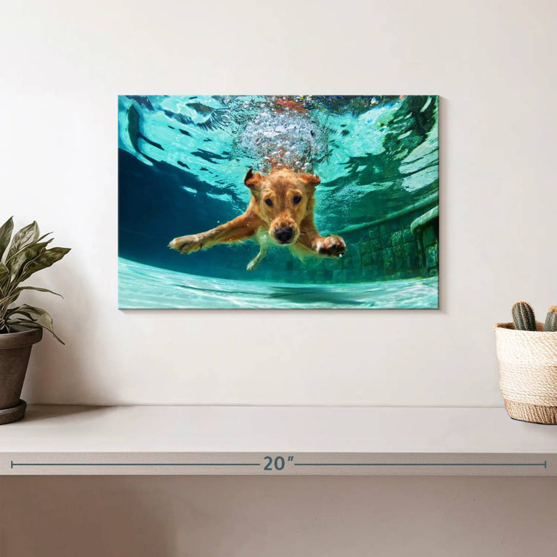 Golden Retriever Diving, 8" H x 12" W