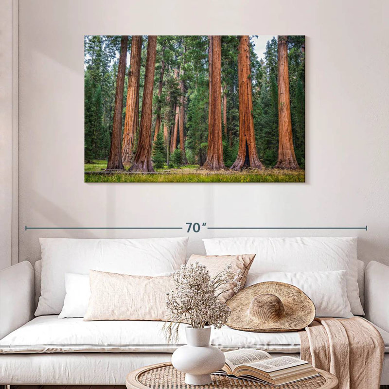 Harnek superbe Sierra Redwoods, H 30 po x l 45 po